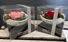 Preserved spray rose in a ceramic dish