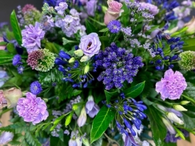 Purple shades double ended