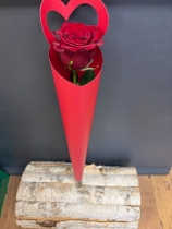 Single Stem Rose