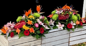 Tropical Single Ended Spray