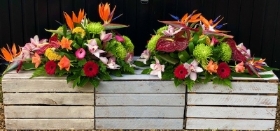 Tropical Single Ended Spray